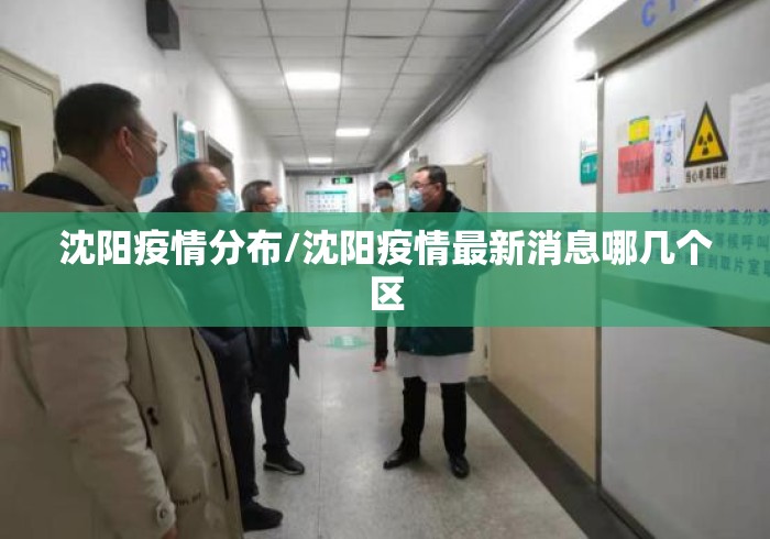 沈阳疫情分布/沈阳疫情最新消息哪几个区