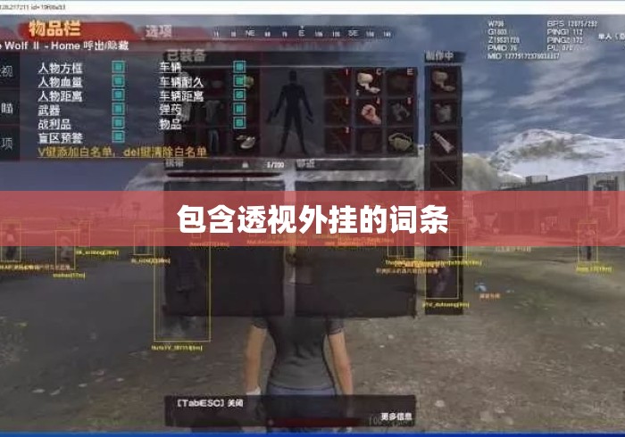 包含透视外挂的词条 包含透视外挂的词条