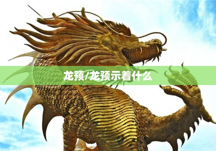 龙预/龙预示着什么 龙预/龙预示着什么
