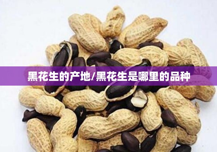 黑花生的产地/黑花生是哪里的品种 黑花生的产地/黑花生是哪里的品种