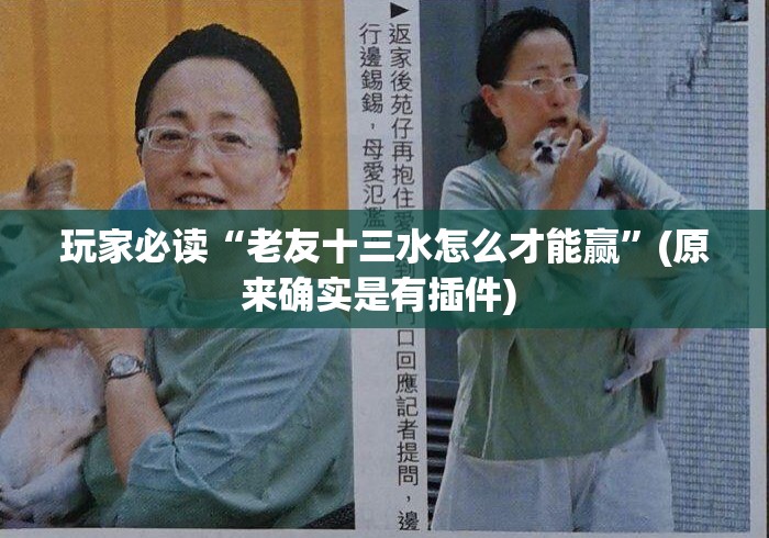 玩家必读“老友十三水怎么才能赢”(原来确实是有插件) 