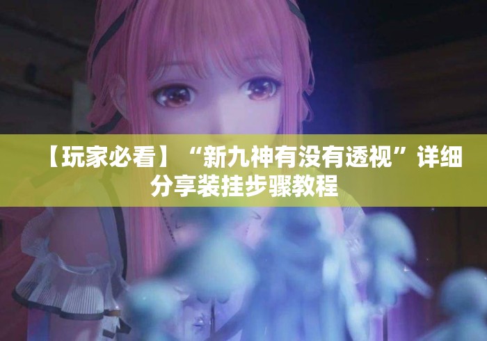 【玩家必看】“新九神有没有透视	”详细分享装挂步骤教程