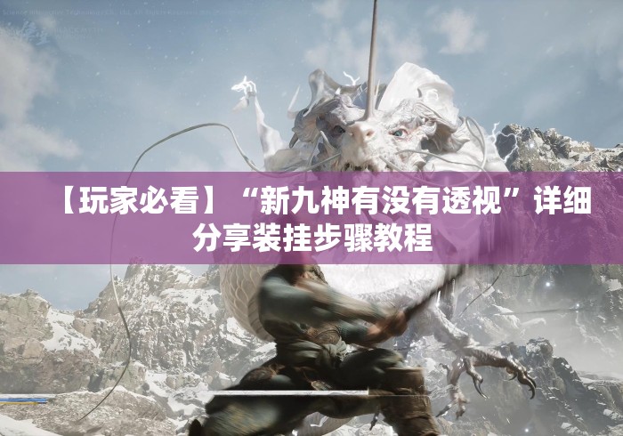 【玩家必看】“新九神有没有透视”详细分享装挂步骤教程