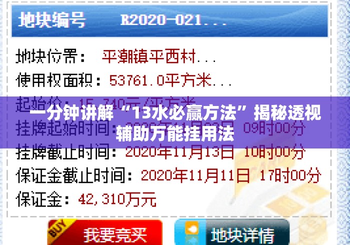 一分钟讲解“13水必赢方法”揭秘透视辅助万能挂用法