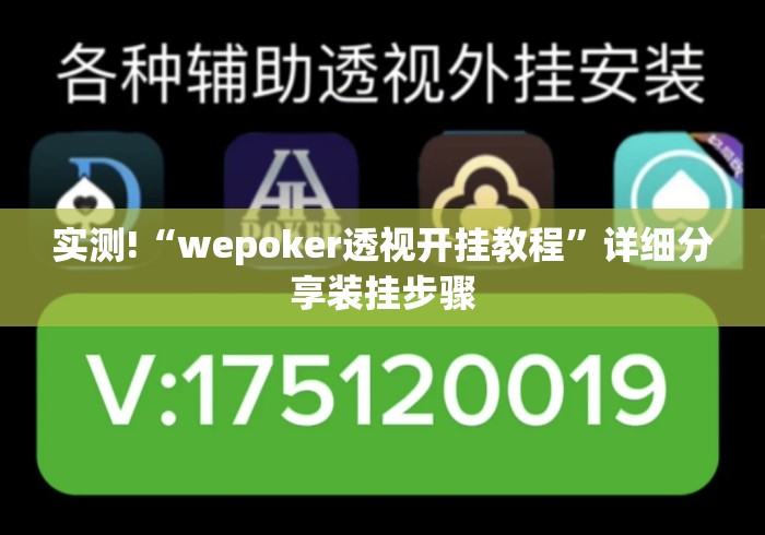 实测!“wepoker透视开挂教程”详细分享装挂步骤