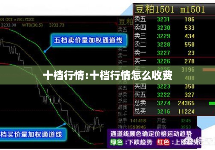 十档行情:十档行情怎么收费