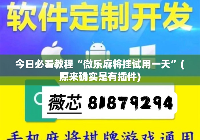 今日必看教程“微乐麻将挂试用一天”(原来确实是有插件)