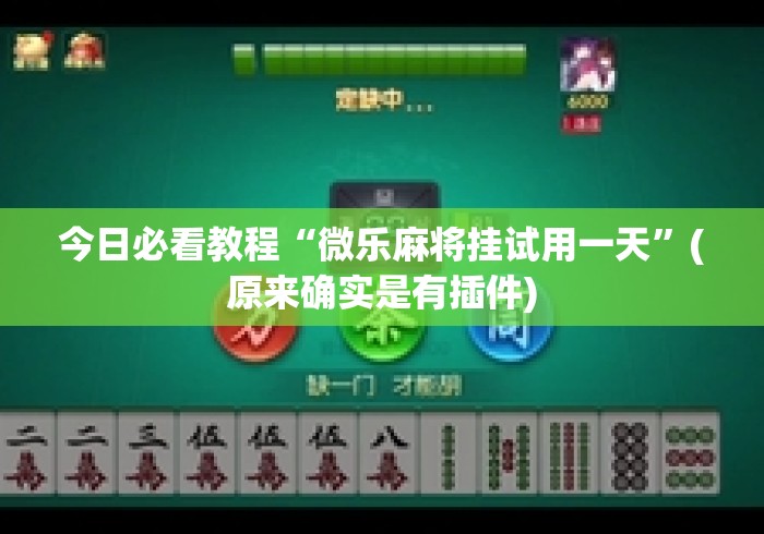 今日必看教程“微乐麻将挂试用一天”(原来确实是有插件)