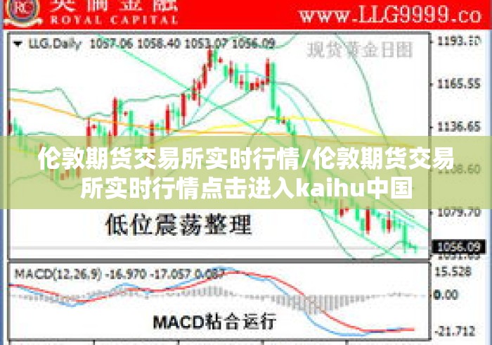 伦敦期货交易所实时行情/伦敦期货交易所实时行情点击进入kaihu中国 伦敦期货交易所实时行情/伦敦期货交易所实时行情点击进入kaihu中国