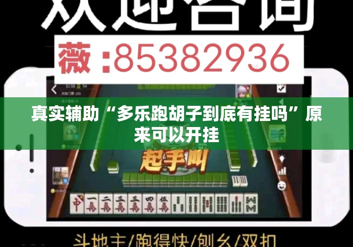 真实辅助“多乐跑胡子到底有挂吗”原来可以开挂