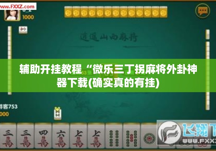 辅助开挂教程“微乐三丁拐麻将外卦神器下载(确实真的有挂) 辅助开挂教程“微乐三丁拐麻将外卦神器下载(确实真的有挂)