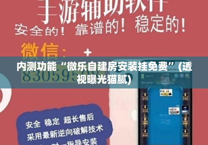 内测功能“微乐自建房安装挂免费”(透视曝光猫腻)