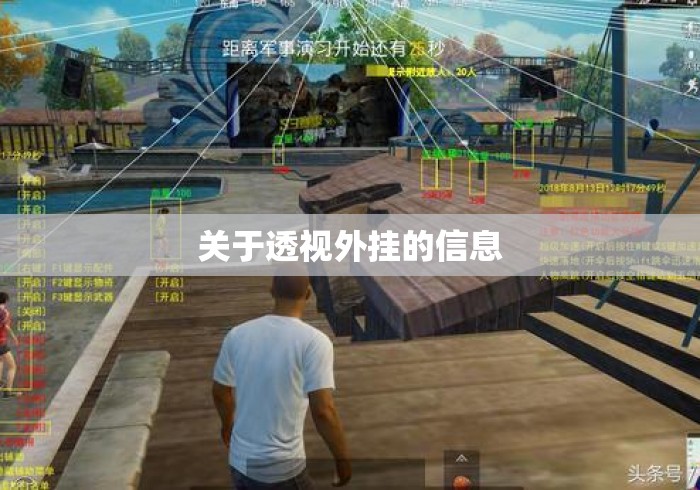 关于透视外挂的信息 关于透视外挂的信息