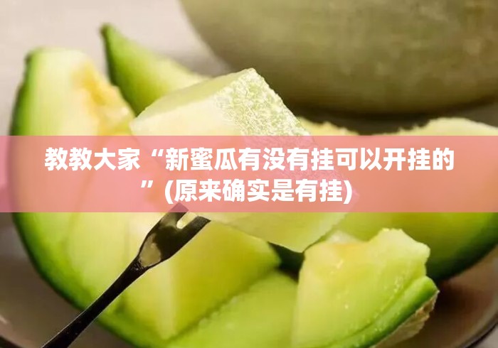 教教大家“新蜜瓜有没有挂可以开挂的”(原来确实是有挂) 