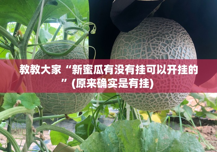 教教大家“新蜜瓜有没有挂可以开挂的	”(原来确实是有挂) 