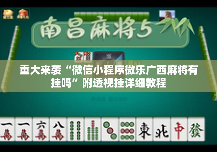 重大来袭“微信小程序微乐广西麻将有挂吗”附透视挂详细教程