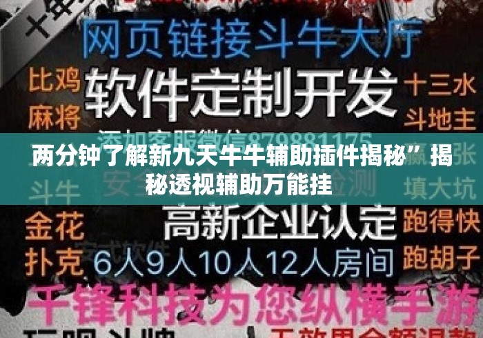 两分钟了解新九天牛牛辅助插件揭秘”揭秘透视辅助万能挂 