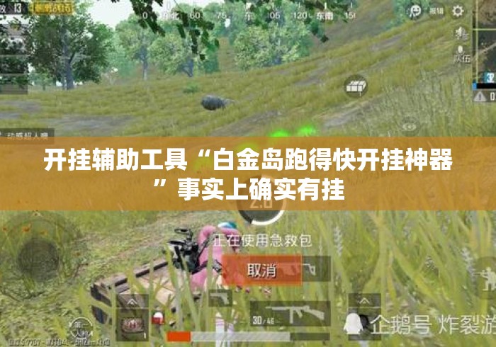 开挂辅助工具“白金岛跑得快开挂神器”事实上确实有挂