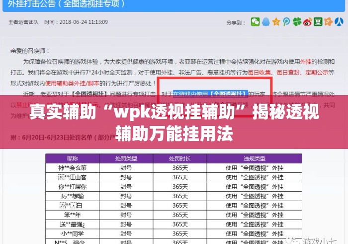 真实辅助“wpk透视挂辅助”揭秘透视辅助万能挂用法