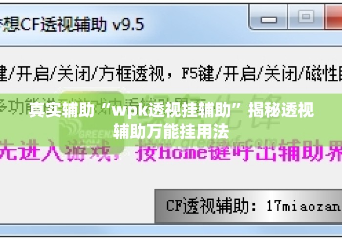 真实辅助“wpk透视挂辅助”揭秘透视辅助万能挂用法