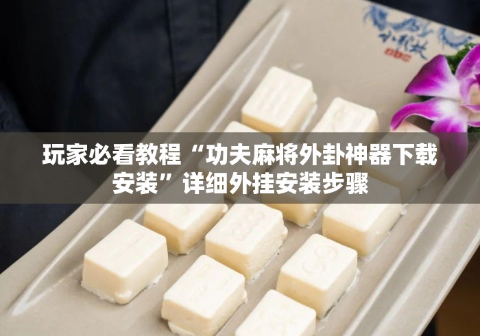 玩家必看教程“功夫麻将外卦神器下载安装	”详细外挂安装步骤