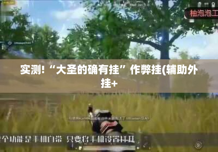 实测!“大圣的确有挂”作弊挂(辅助外挂+