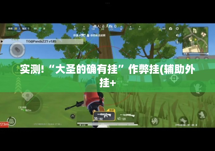 实测!“大圣的确有挂”作弊挂(辅助外挂+