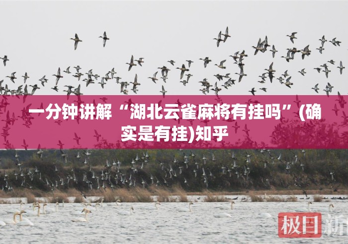 一分钟讲解“湖北云雀麻将有挂吗”(确实是有挂)知乎