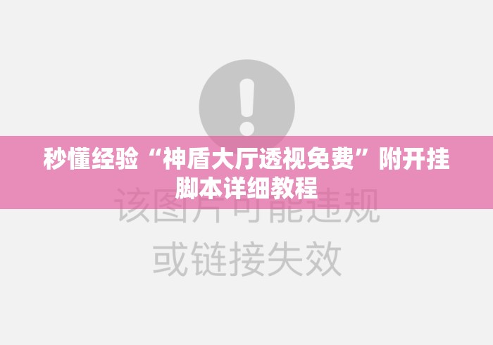 秒懂经验“神盾大厅透视免费”附开挂脚本详细教程