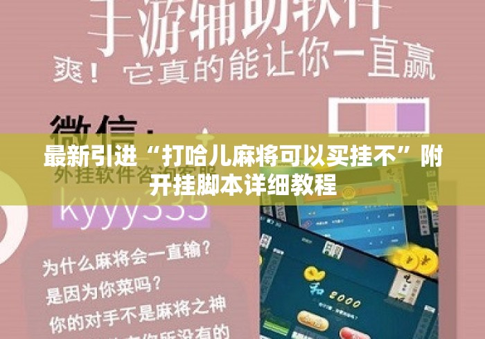 最新引进“打哈儿麻将可以买挂不”附开挂脚本详细教程