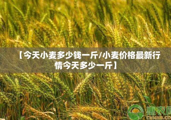 【今天小麦多少钱一斤/小麦价格最新行情今天多少一斤】 【今天小麦多少钱一斤/小麦价格最新行情今天多少一斤】