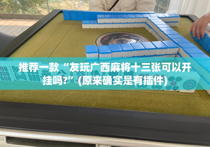 推荐一款“友玩广西麻将十三张可以开挂吗?”(原来确实是有插件)