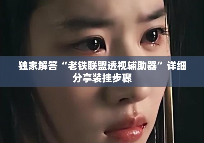 独家解答“老铁联盟透视辅助器”详细分享装挂步骤