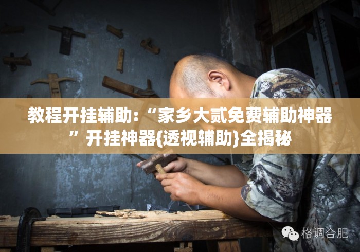 教程开挂辅助:“家乡大贰免费辅助神器”开挂神器{透视辅助}全揭秘