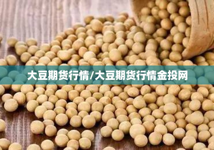 大豆期货行情/大豆期货行情金投网