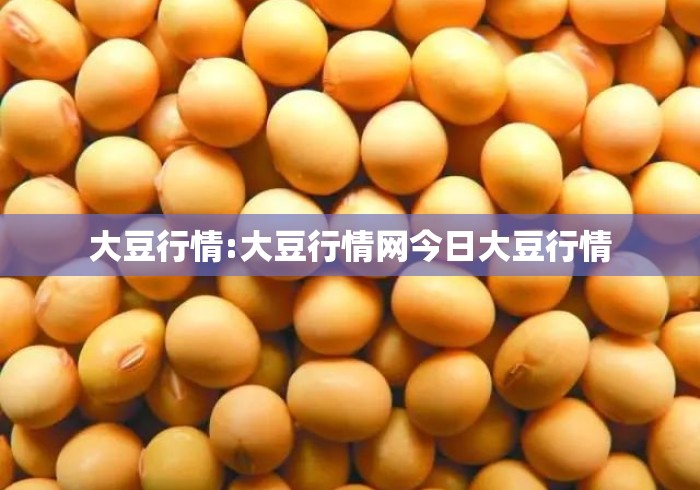大豆行情:大豆行情网今日大豆行情