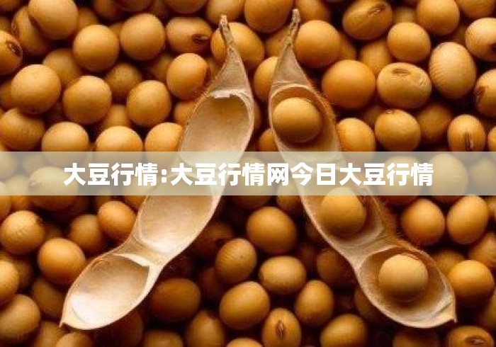 大豆行情:大豆行情网今日大豆行情