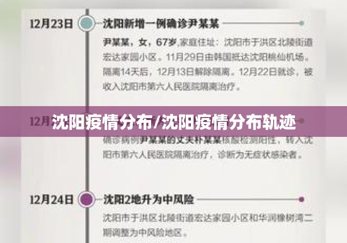 沈阳疫情分布/沈阳疫情分布轨迹