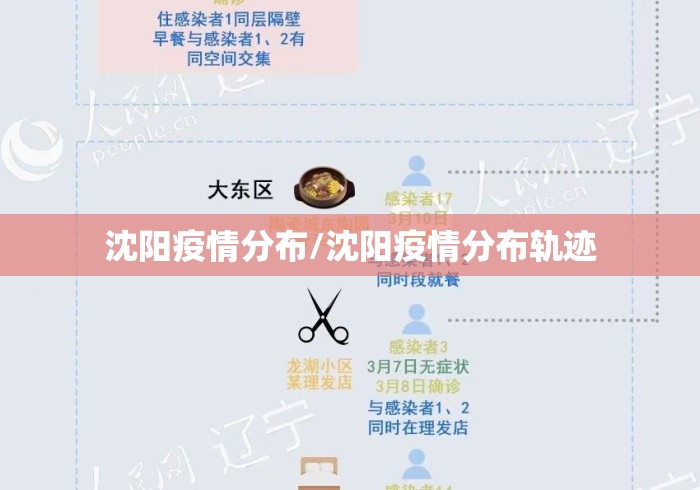 沈阳疫情分布/沈阳疫情分布轨迹