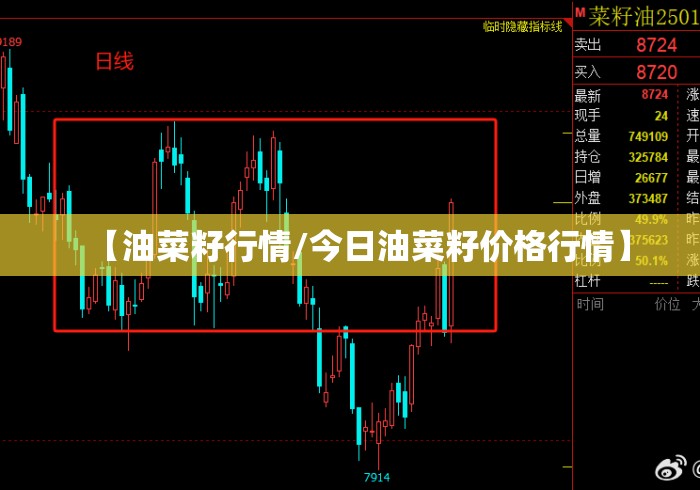 【油菜籽行情/今日油菜籽价格行情】