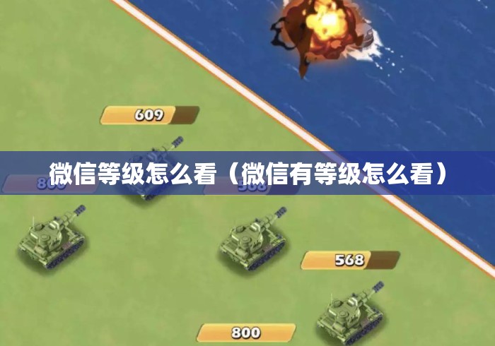 微信等级怎么看（微信有等级怎么看）