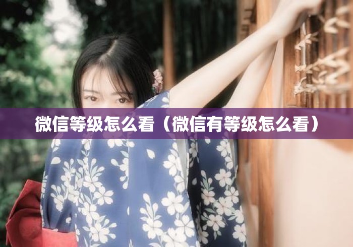 微信等级怎么看（微信有等级怎么看）