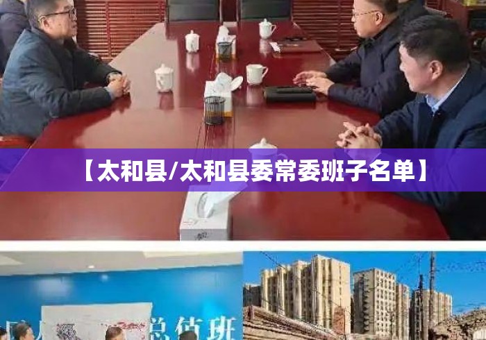 【太和县/太和县委常委班子名单】