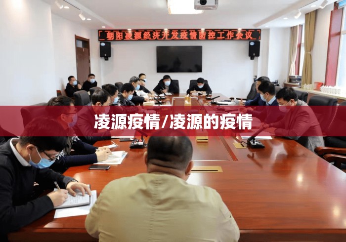 凌源疫情/凌源的疫情