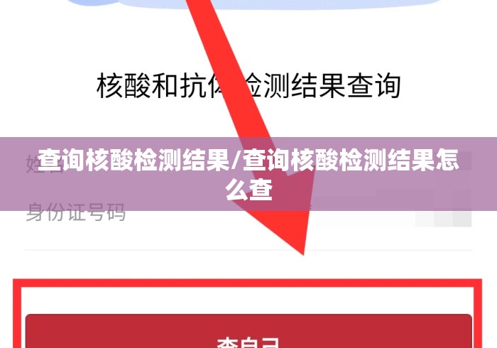 查询核酸检测结果/查询核酸检测结果怎么查
