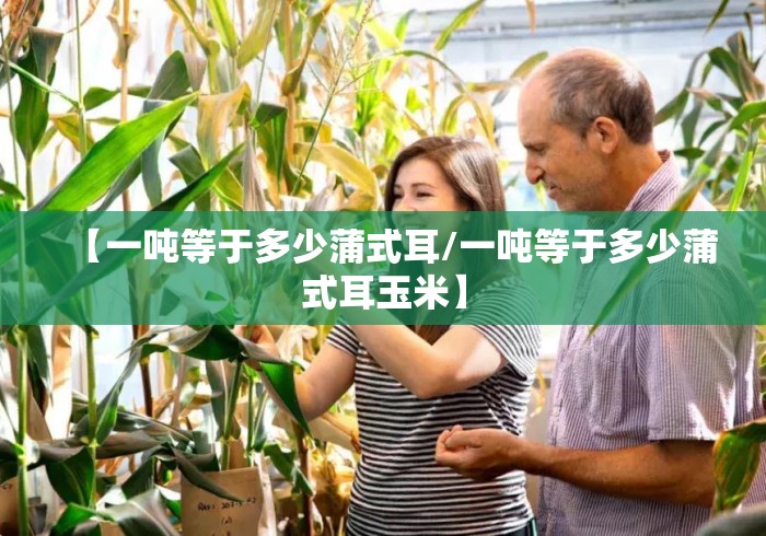 【一吨等于多少蒲式耳/一吨等于多少蒲式耳玉米】