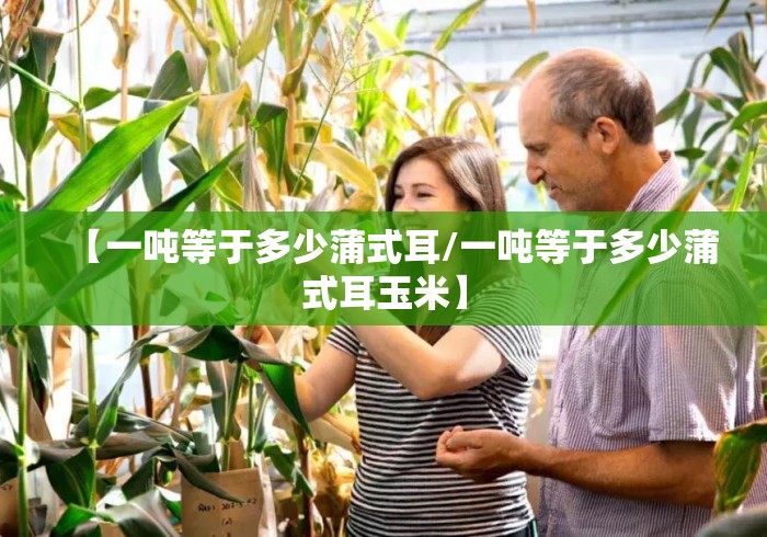 【一吨等于多少蒲式耳/一吨等于多少蒲式耳玉米】