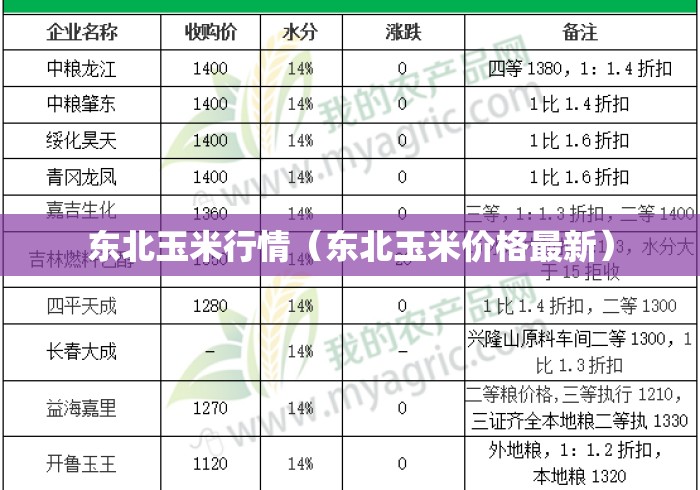 东北玉米行情（东北玉米价格最新）