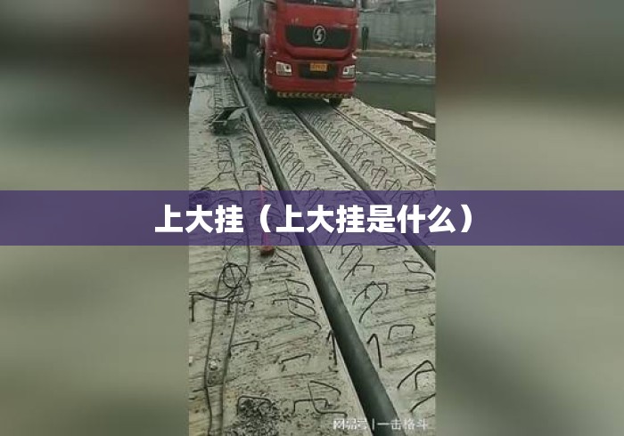 上大挂（上大挂是什么）