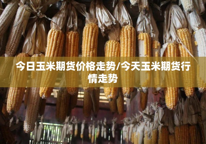 今日玉米期货价格走势/今天玉米期货行情走势
